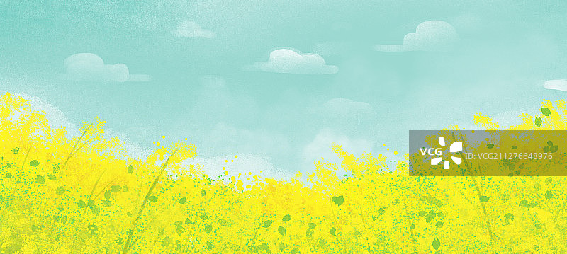 春天里一片黄色油菜花花海长图图片素材