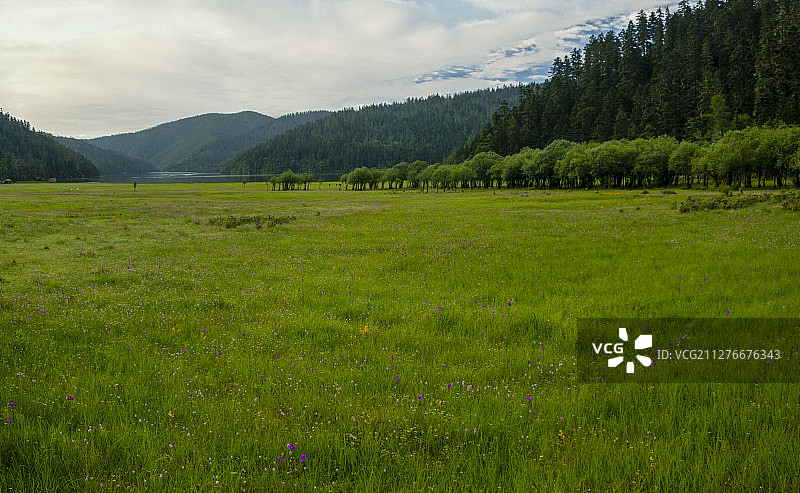 香格里拉碧塔海图片素材