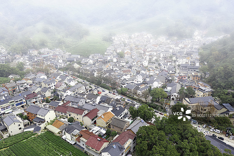 杭州梅家坞村茶园风光图片素材