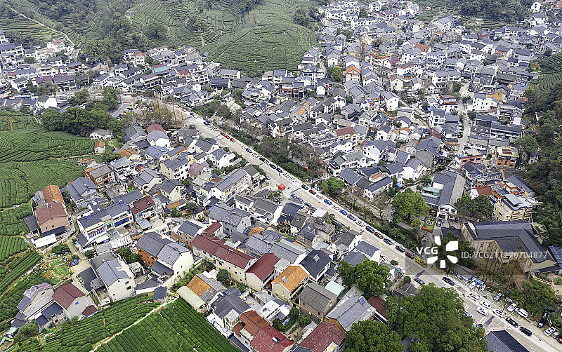 杭州西湖梅家坞村图片素材