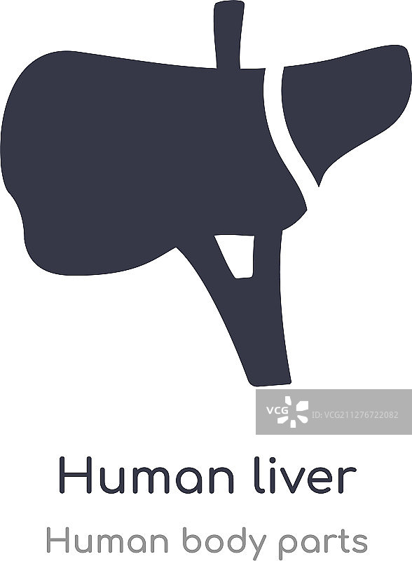 人体肝脏轮廓线性图标图片素材