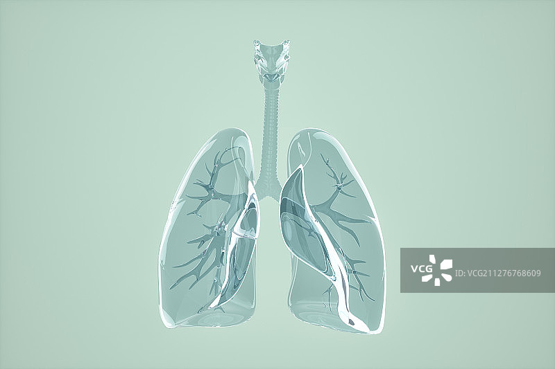 透明_玻璃_肺图片素材