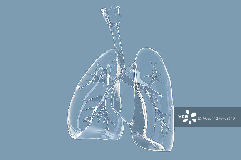 透明_玻璃_肺图片素材