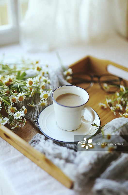 治愈系洋甘菊图片素材