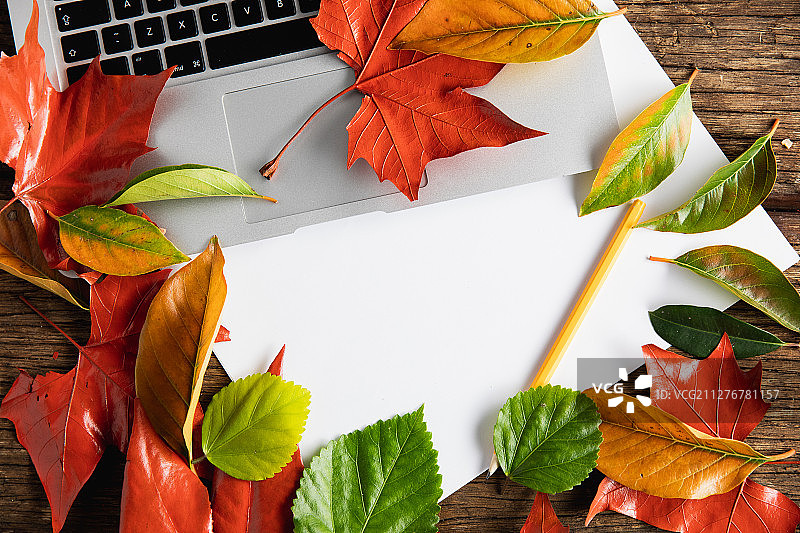 留白秋季扁平风图片素材