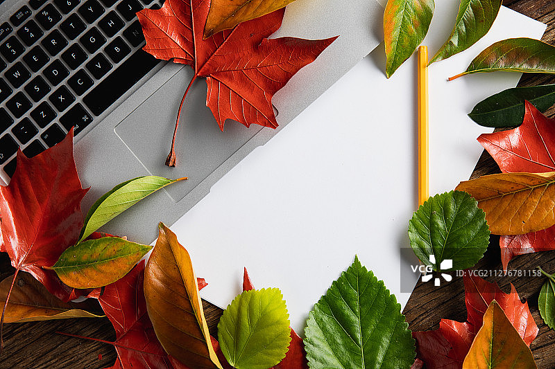 留白秋季扁平风图片素材