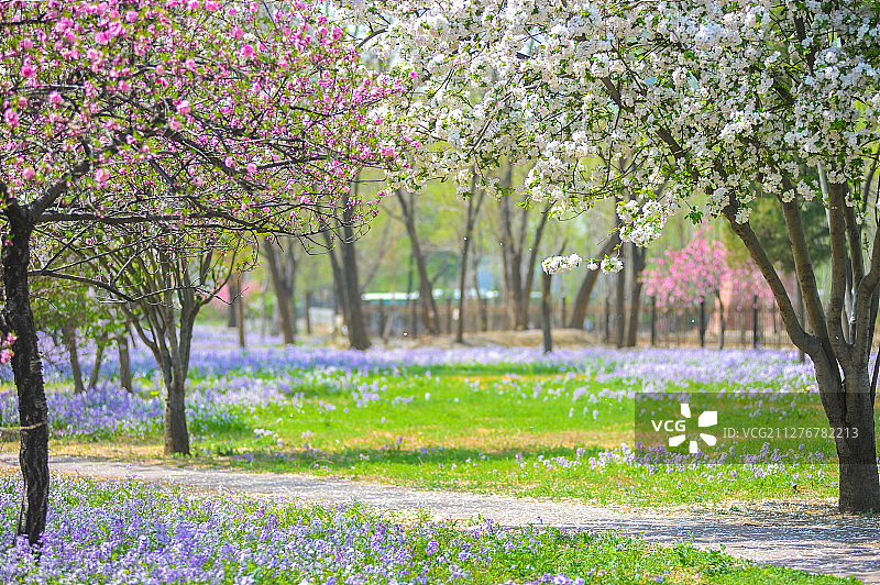 春天的花园图片素材