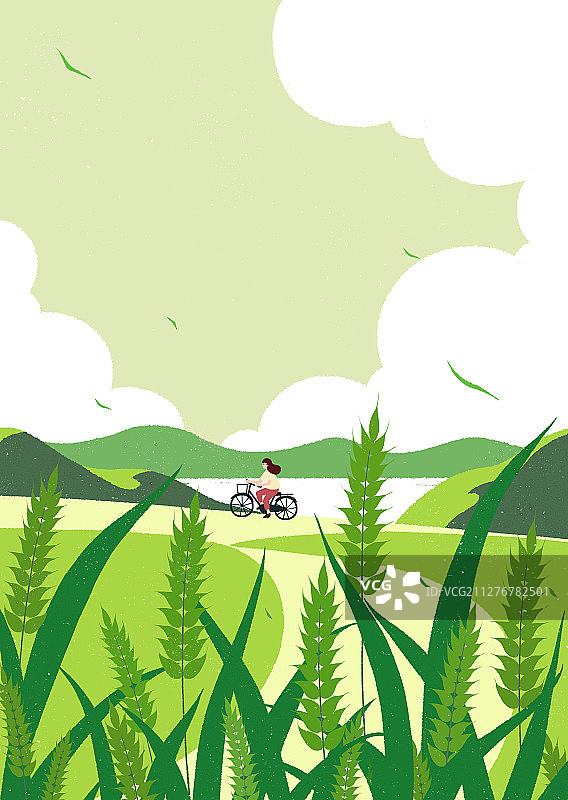 麦田边的小路上一个骑着自行车的女孩图片素材