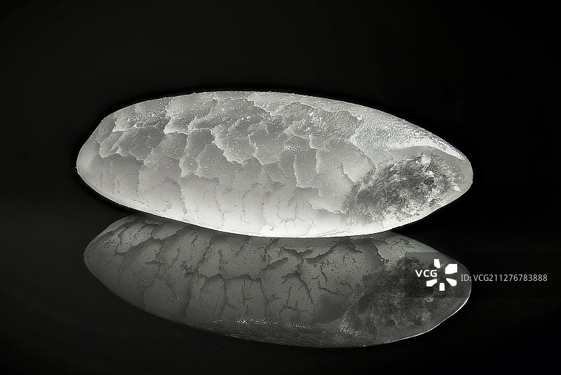 微距下的米粒图片素材