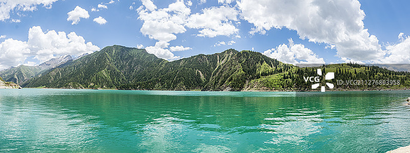 夏季新疆蓝天白云下雪山草原森林湖泊图片素材