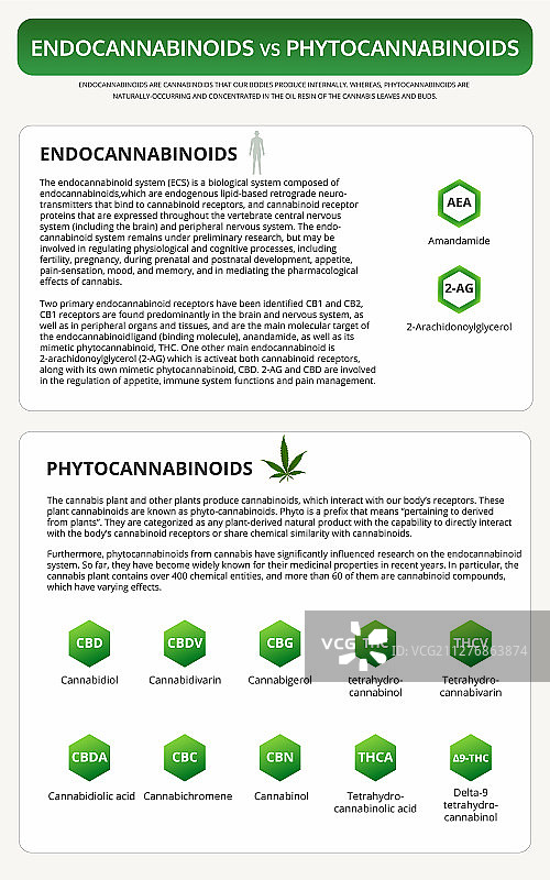 内源性大麻素与植物大麻素（竖版）图片素材
