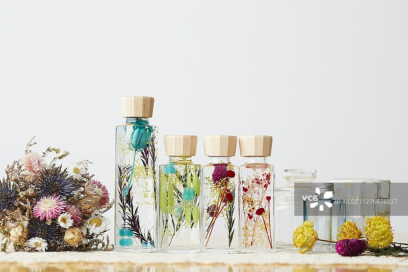 植物标本图片素材