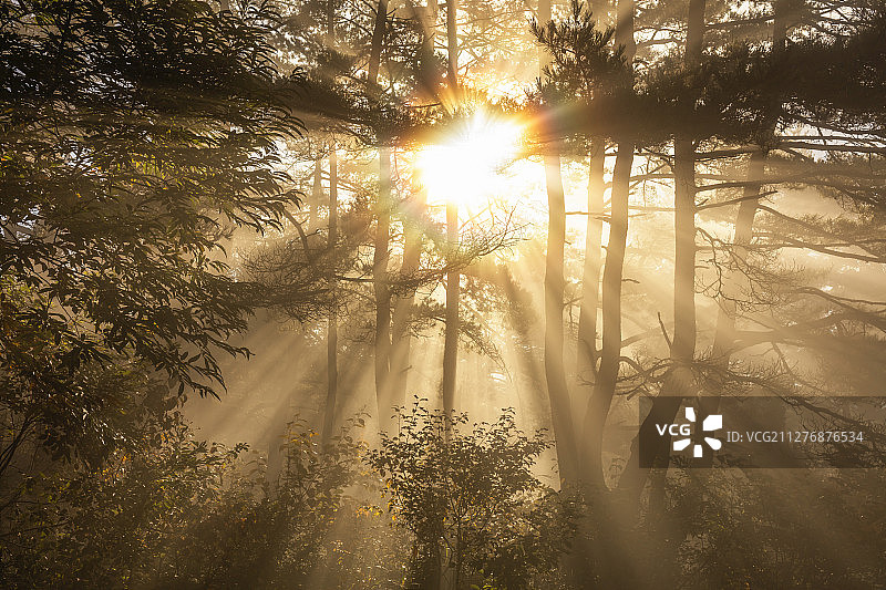 日本长野图片素材