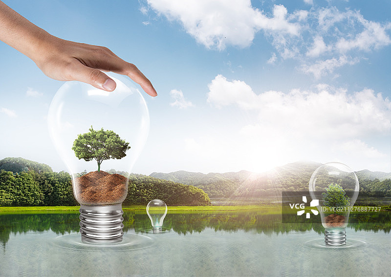 手触碰灯泡，内有一棵树图片素材