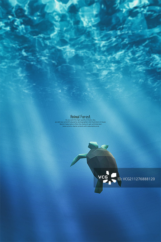 海洋中的海龟图片素材