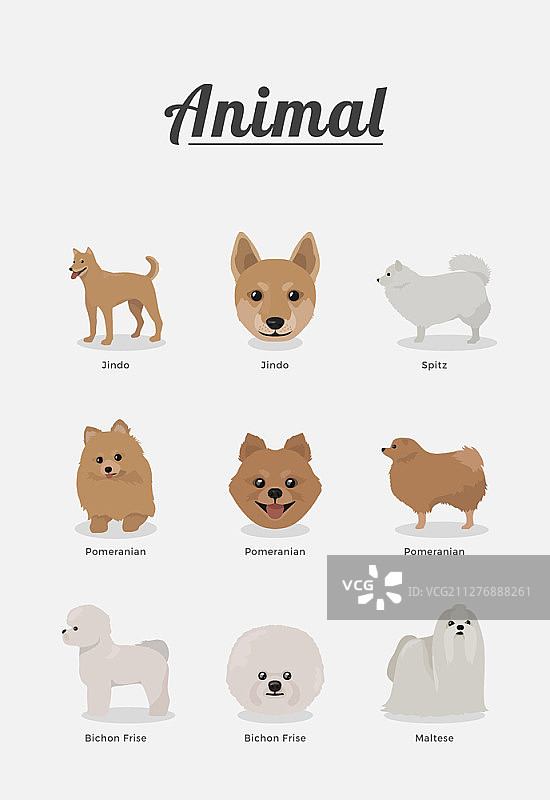 动物矢量图图片素材