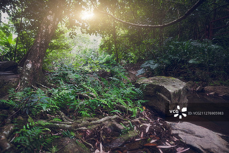 呀诺达图片素材