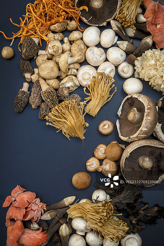 深色背景下的什锦蘑菇图片素材