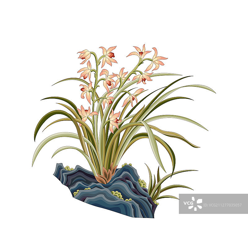 兰花彩色传统花卉图案图片素材