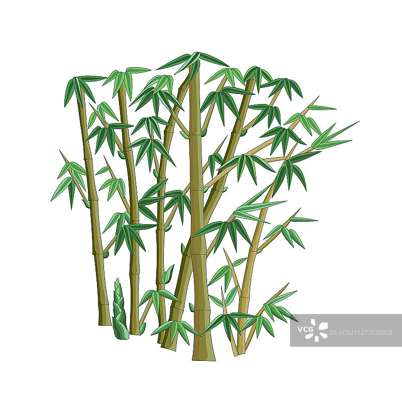 竹子彩色植物传统图案图片素材