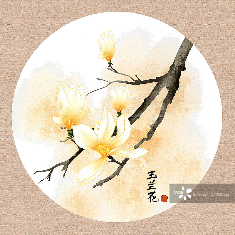 中国风水彩花卉植物玉兰花插画图片素材
