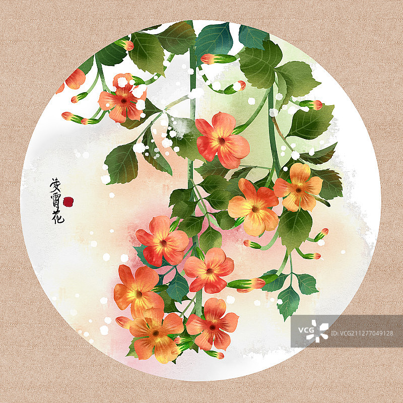 中国风水彩花卉植物凌霄花插画图片素材