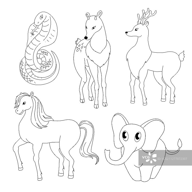 涂色书动物合集图片素材