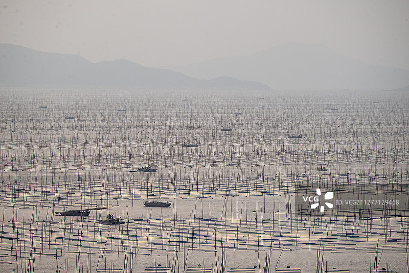 养鱼场图片素材