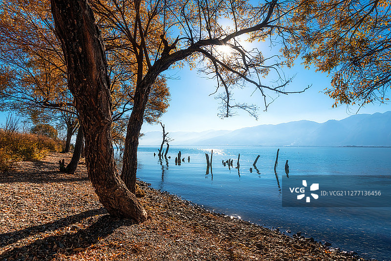 云南大理夕阳下的洱海苍山风光图片素材