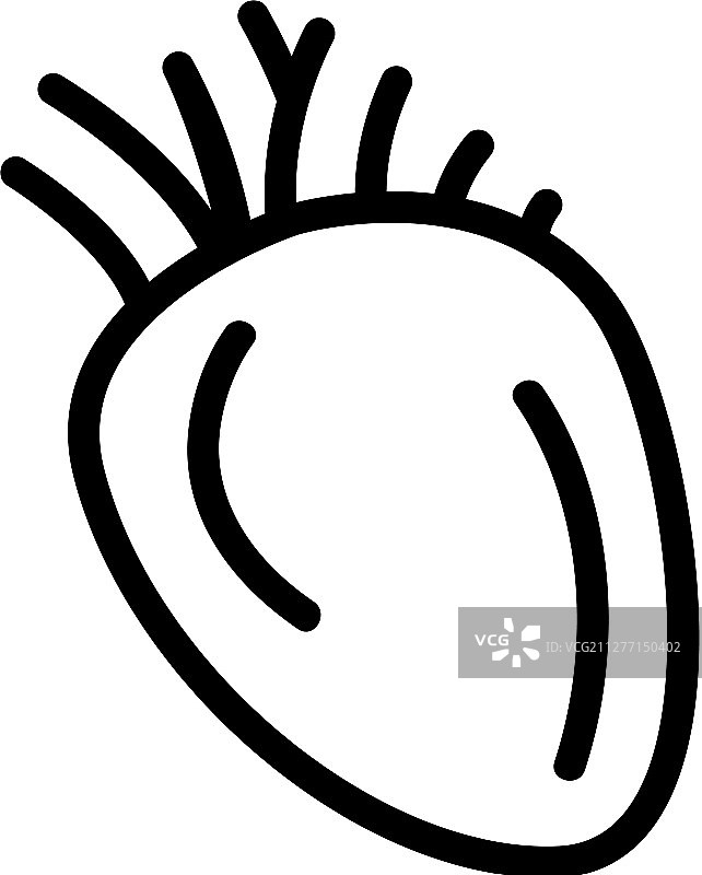 心脏器官图标孤立轮廓符号图片素材