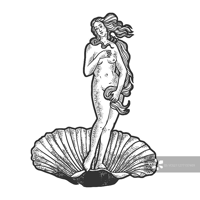 维纳斯的诞生素描雕刻图片素材