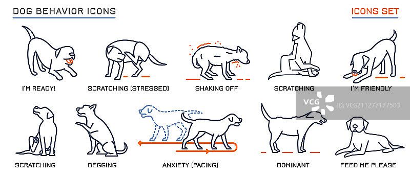 狗行为图标集图片素材