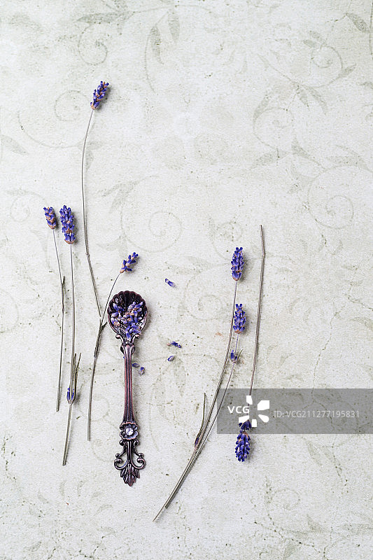 勺子上的薰衣草花图片素材