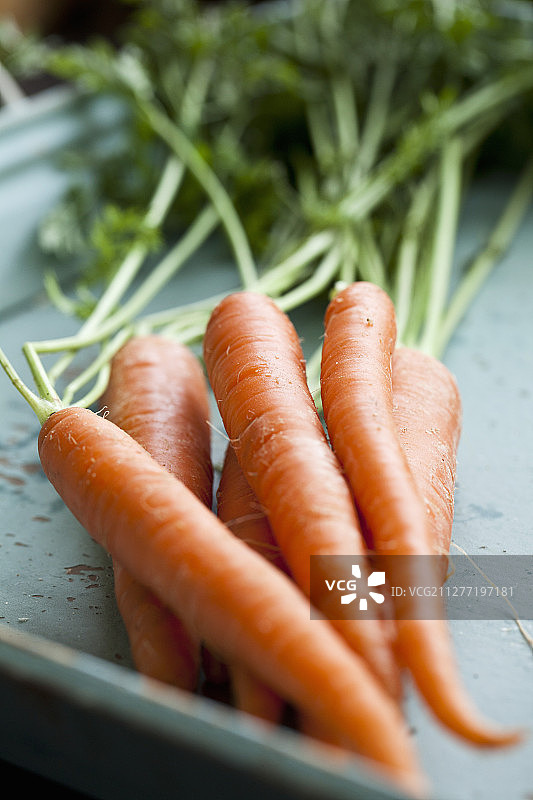 蓝色托盘上的一堆胡萝卜图片素材