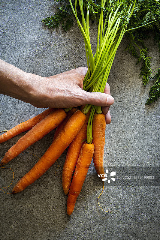 手持一束胡萝卜图片素材