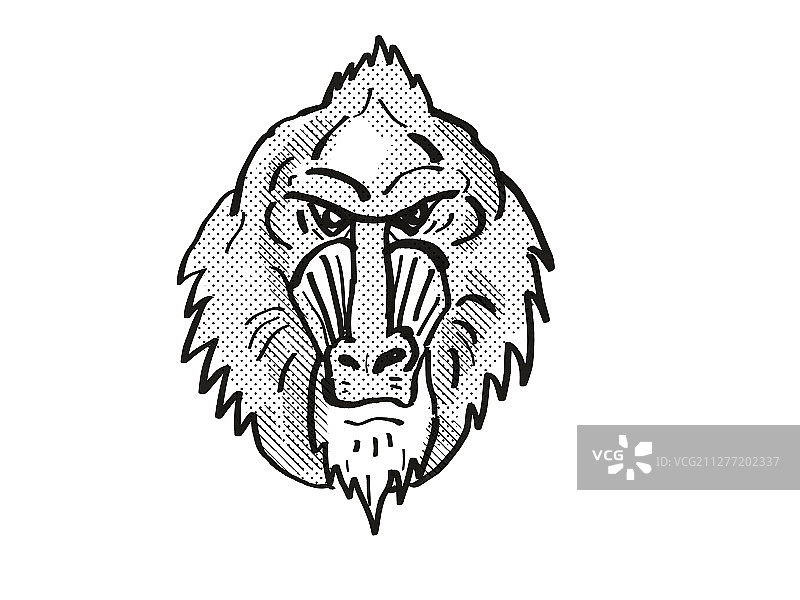 卡通风格线稿：山魈猴头部图片素材