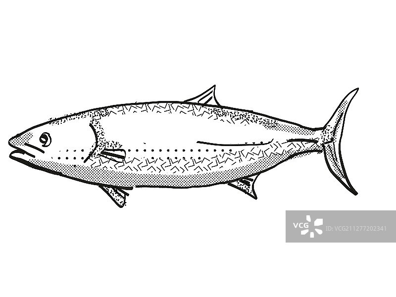 新西兰海域长尾鰤鱼的复古卡通风格黑白绘画图片素材