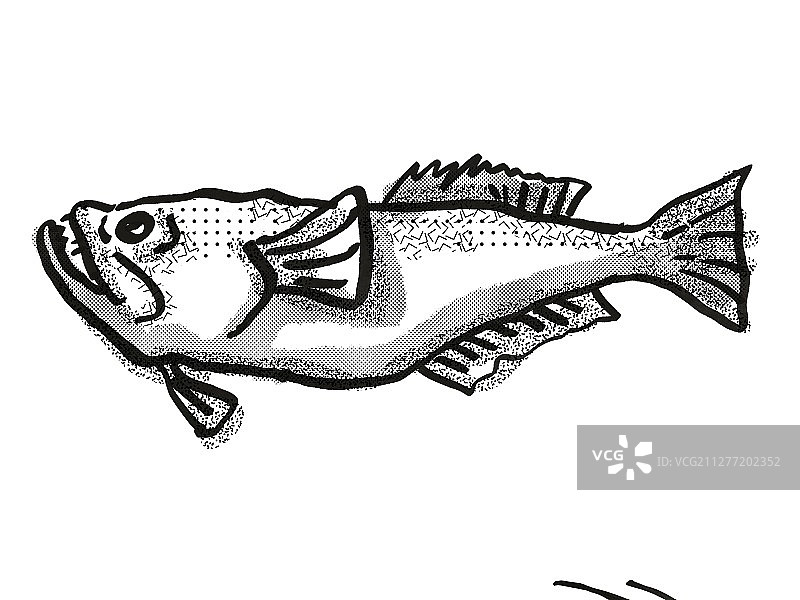 复古卡通风格：黑白新西兰瞻星鱼图片素材