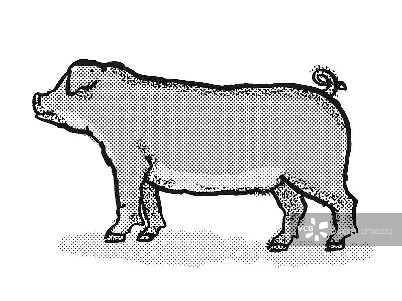 复古卡通风格杜洛克猪黑白绘画图片素材
