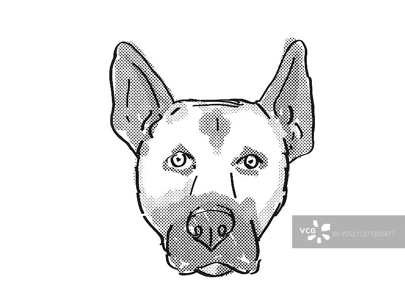 复古卡通风格的黑色和白色背景下的比利时马里努阿犬头部绘画图片素材