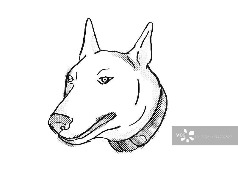 复古卡通风格绘画：牛头㹴犬头部图片素材