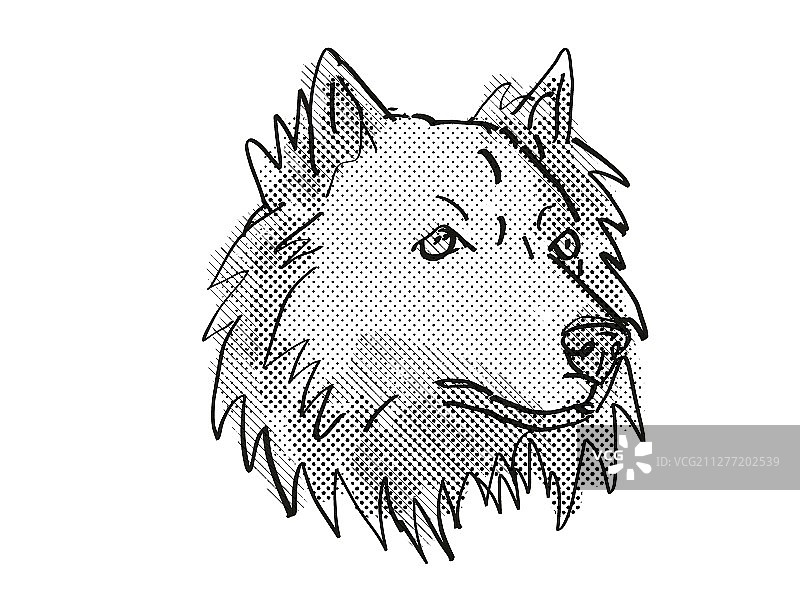 松狮哈士奇混血犬复古卡通风格绘画图片素材