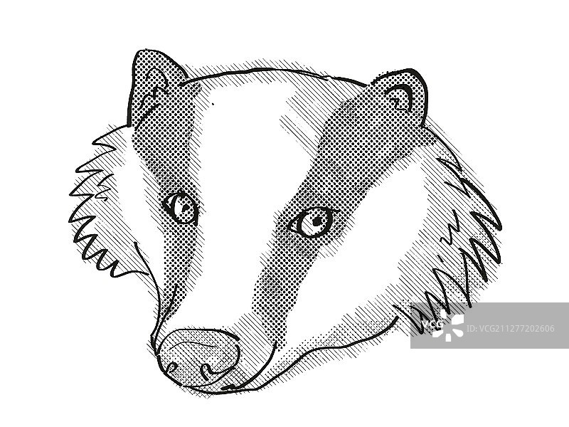 欧亚獾卡通复古画图片素材