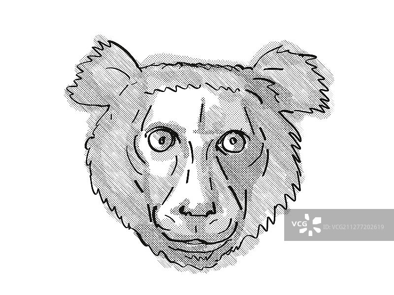 复古卡通风格马达加斯指猴头部绘画图片素材