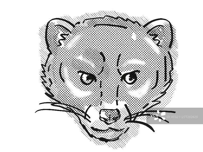 马来灵猫头像的复古卡通风格绘画，一种濒危野生动物，在孤立的白色背景上以黑白完成。图片素材