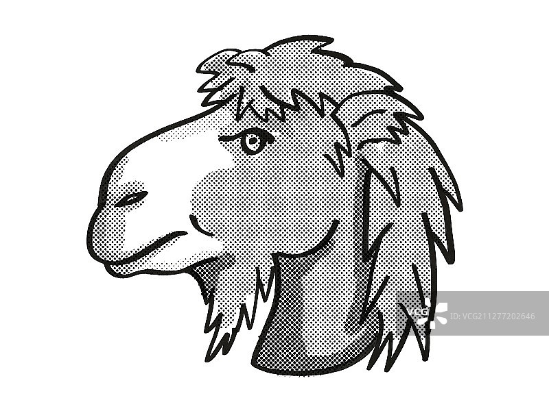 复古卡通单线濒危双峰骆驼插画图片素材