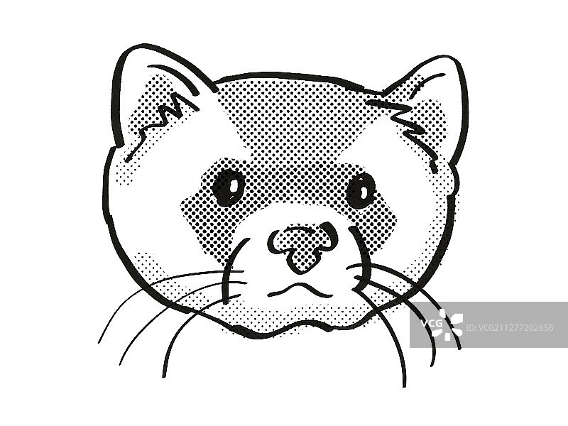 单线风格复古卡通绘画，以黑白色调绘制在孤立的白色背景上黑足鼬、美国臭鼬或草原犬猎人的头部，以及濒危野生动物。图片素材