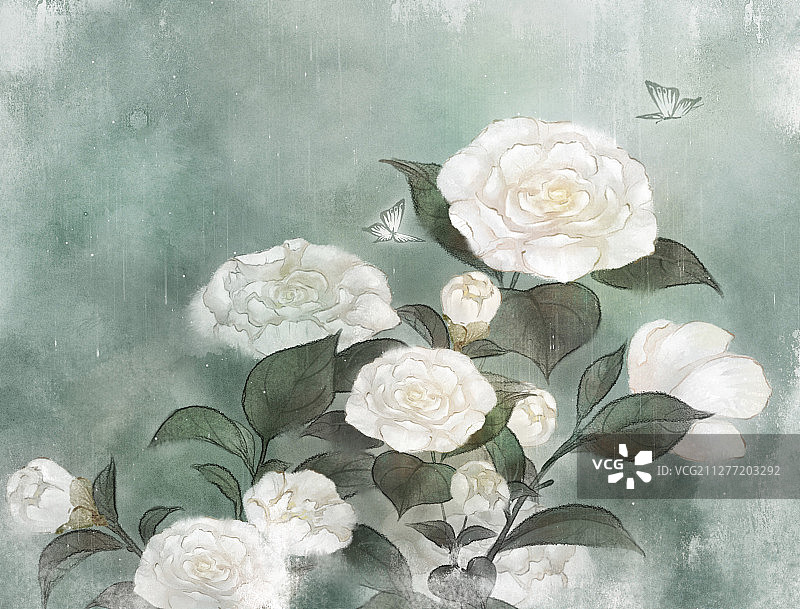 中国风古风山茶花花卉插画插图图片素材