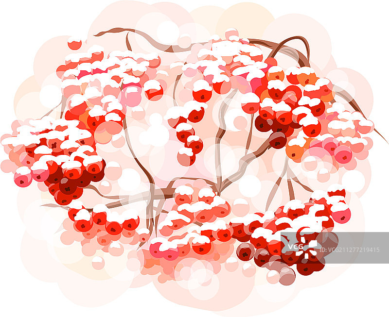 水彩风格的欧洲花楸浆果图片素材