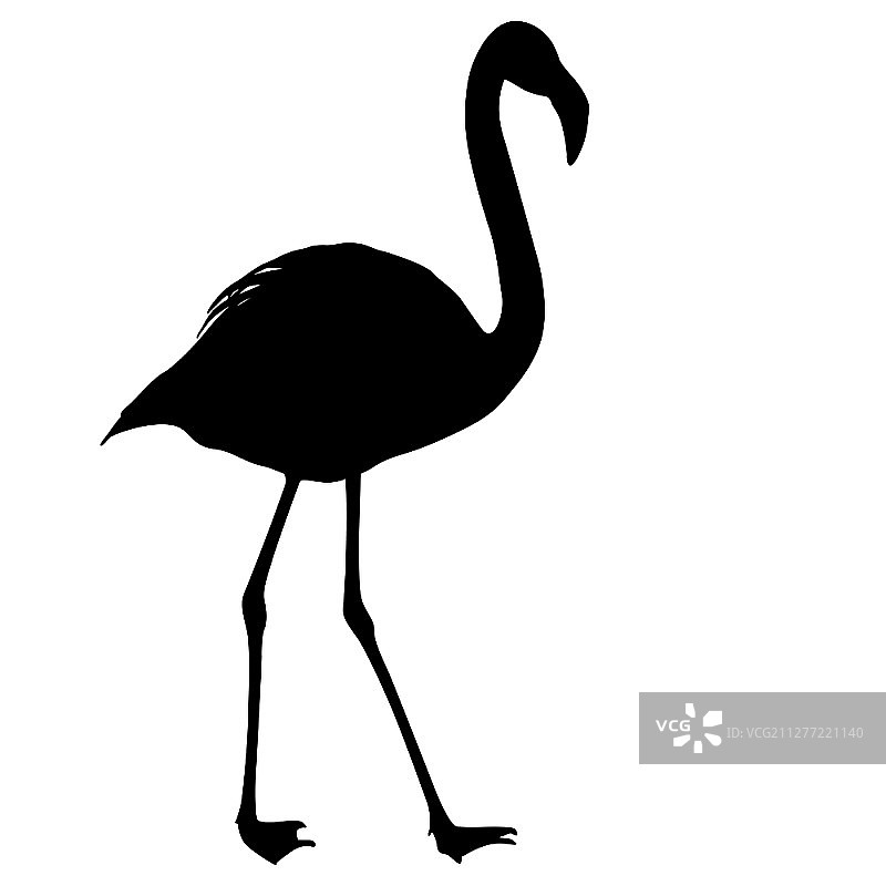 白色背景上的火烈鸟剪影图片素材